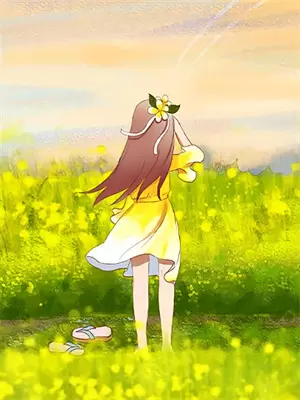 镜花水月副本